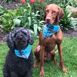 Veronica Tunney - @veronicatunney - Instagram