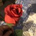 Veronica Gilbey - Facebook