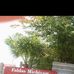 Veronica Vallejo - Facebook