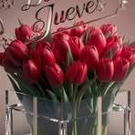 Veronica Varas - Facebook