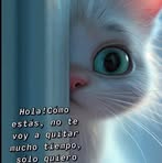 Veronica Vilchis - Facebook