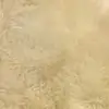 veronica_bda_warwick - @veronica_bda_warwick - TikTok