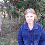 Veronica Weber - Facebook