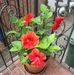 Veronica Wingard - Facebook