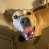 veronica wingård - @veronica.wingrd - TikTok