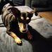 Veronica Womble - Facebook