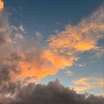 Veronica - @veronica_words - Instagram