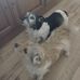 Veronica Wynn - Facebook