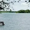 Veronica Yam - @veronica.yam0 - TikTok