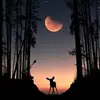 Veronica Yam - @limny.sinai - TikTok