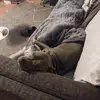 Veronica Yost - @veronica.yost5 - TikTok