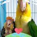 Veronica Zelaya - Facebook