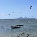 Vesna Saric - @saric7342 - Instagram