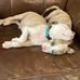 Vesta Morgan Pierce - Facebook