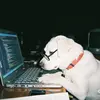 Vet.Johnson - @vet.johnson3 - TikTok