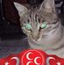 Veysel Simsek - Facebook