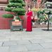 Vi Dương - Facebook