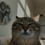 𝐴𝑙𝑙𝑣𝑒𝑠𝑧. - @vihallvez - Instagram