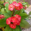 vijaya - @user37013067 - TikTok