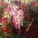 Vi Trinh - Facebook