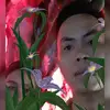 Vi vương 1980 - @vi__vuong - TikTok