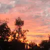 viareyes🥰🥰 - @vianeyreyes54 - TikTok