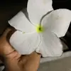 Vianey Rocha - @vianey.rocha3 - TikTok