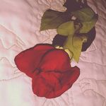 beauté de la photographie - @vibrant_minds_ - Instagram