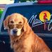 Vic Allen - Facebook