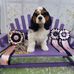 Vicki Armstrong - Facebook