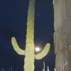 Vic Ballesteros - @vic.ballesteros2 - TikTok