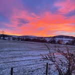 Vicky Bennett - @originalcottages_vicbennett - Instagram