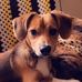 Vicki Chambers - Facebook