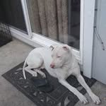 Victor Chambers - @victor.chambers.560 - Instagram