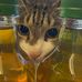 Vic Chang - Facebook