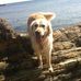 Vic Collins-Lenihan - Facebook