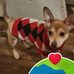 Vicki Cox - Facebook