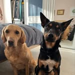 Victoria Featherby - @victoriafeatherby - Instagram