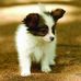 Vic George - Facebook