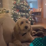 Vic Jones - @vickyjones4629 - Instagram