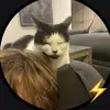 Victoria Hayes - @vicparker._ - TikTok