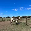 Vic - @vicki.parsons - TikTok