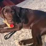 Vic Thompson - @thompson_vic - Instagram