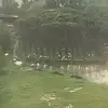 vic wang - @vic.wang7 - TikTok