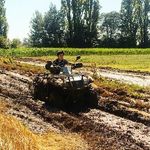 vicente alfonso - @vicentealfonso3 - Instagram