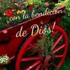 vicentebrito11 - @vicentebrito11 - TikTok