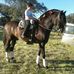 Vicente Cano Jimenez - Facebook