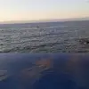 Vicente # - @vicentelopes - TikTok