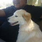 vicente marcano - @vicenteemiliomarcano - Instagram