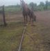 Vicente Monreal - Facebook